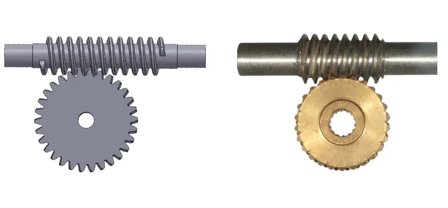 Side by side comparison of worm gear and spur gear